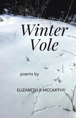 Winter Vole 1