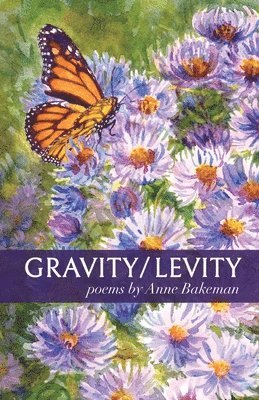 Gravity/Levity 1