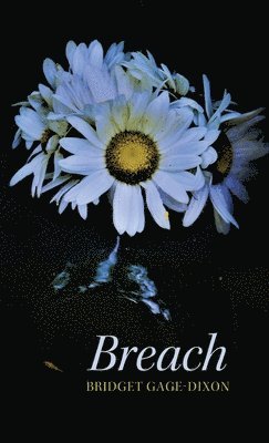 Breach 1