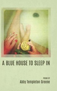 bokomslag Blue House to Sleep In