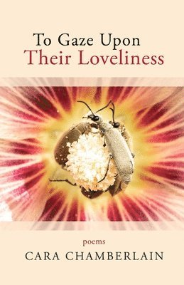 Cara Chamberlain - To Gaze Upon Their Loveliness, Häftad