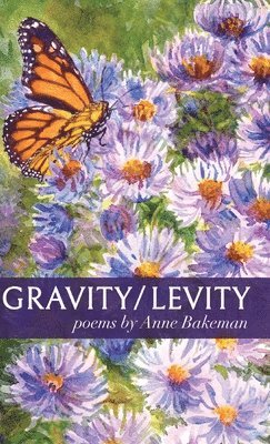 Gravity/Levity 1