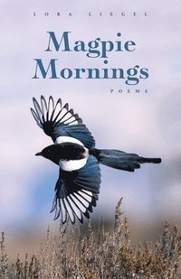 bokomslag Magpie Mornings
