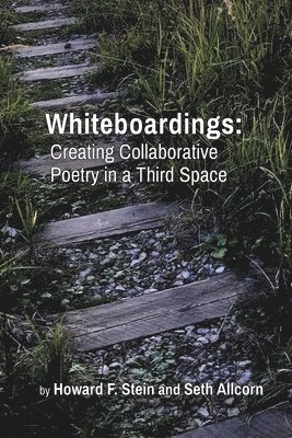 Howard F Stein, Seth Allcorn - Whiteboardings, Häftad
