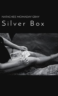 bokomslag Silver Box