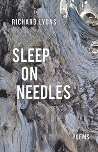 bokomslag Sleep on Needles