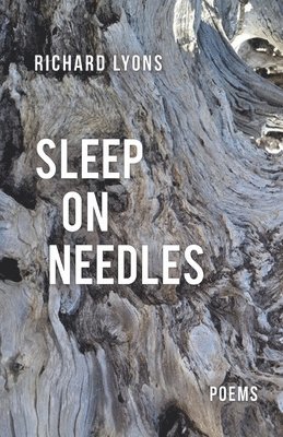 Richard Lyons - Sleep on Needles, Häftad