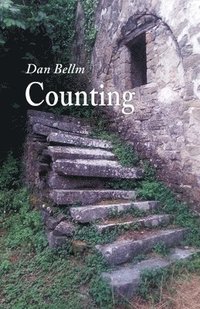bokomslag Counting