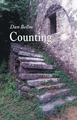 Counting 1