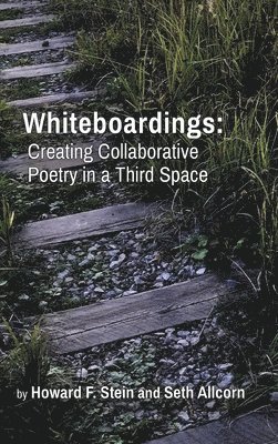 Howard F Stein, Seth Allcorn - Whiteboardings, Inbunden