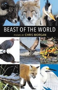 bokomslag Beast of the World