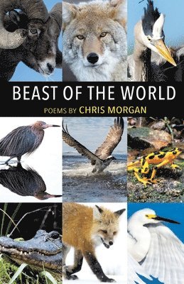 Chris Morgan - Beast of the World, Häftad