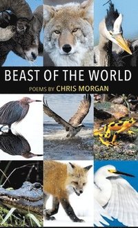 bokomslag Beast of the World