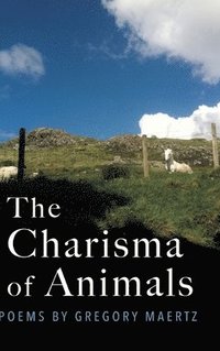 bokomslag Charisma of Animals