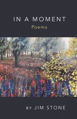 Jim Stone - In a Moment, Poems, Häftad