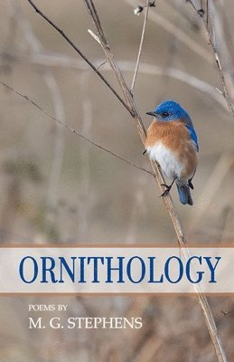 Ornithology 1