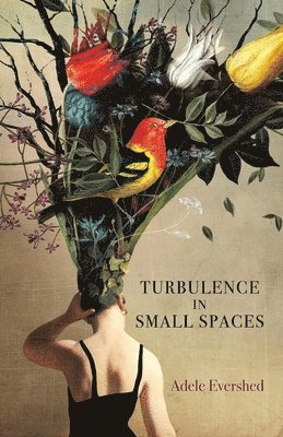 Turbulence in Small Spaces 1