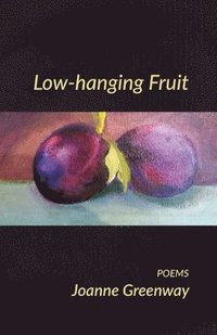 bokomslag Low-hanging Fruit