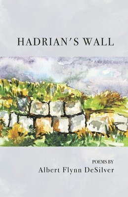 bokomslag Hadrian's Wall