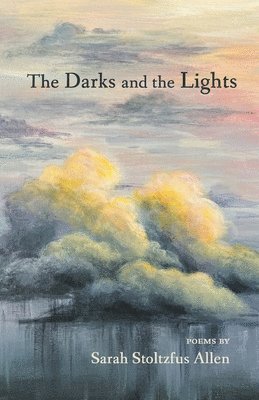bokomslag Darks and the Lights
