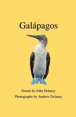 Galpagos 1