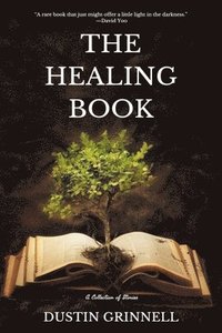 bokomslag The Healing Book