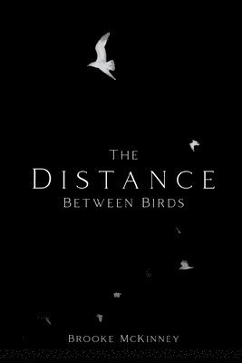 The Distance Between Birds 1