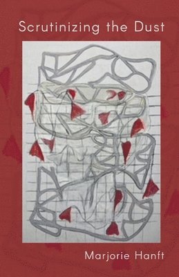 Scrutinizing the Dust