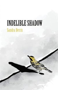 bokomslag Indelible Shadow