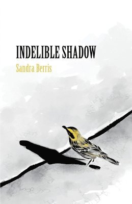 Indelible Shadow 1