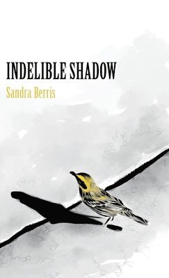 Indelible Shadow 1