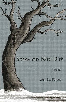 Snow on Bare Dirt 1