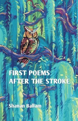 bokomslag first poems after the stroke