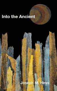 bokomslag Into the Ancient