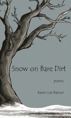 Snow on Bare Dirt 1