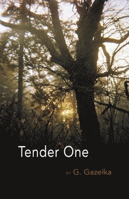 Tender One 1