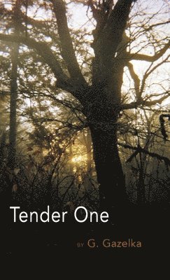 Tender One 1