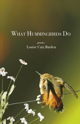 bokomslag What Hummingbirds Do