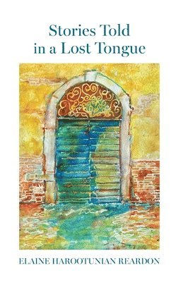 bokomslag Stories Told in a Lost Tongue