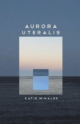 bokomslag Aurora Uteralis