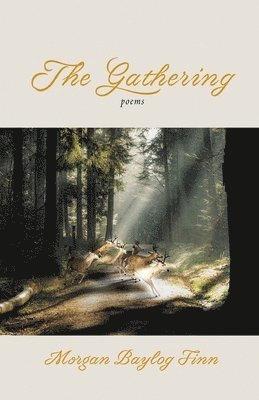 The Gathering 1