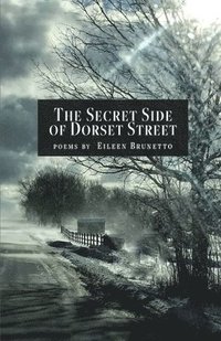 bokomslag Secret Side of Dorset Street