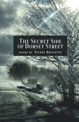 bokomslag Secret Side of Dorset Street