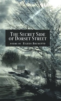 bokomslag Secret Side of Dorset Street