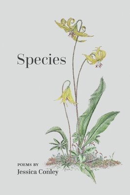 bokomslag Species