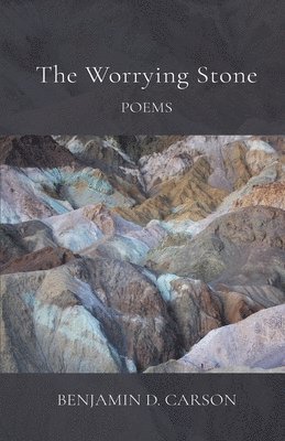 bokomslag The Worrying Stone: Poems