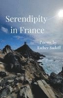 Serendipity in France 1