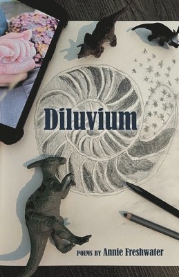 bokomslag Diluvium