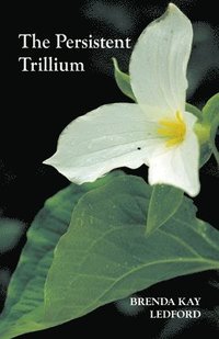 bokomslag Persistent Trillium