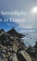 bokomslag Serendipity in France